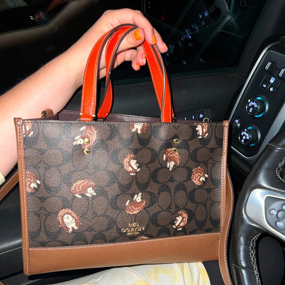 Coach Hedgehog Print Purse